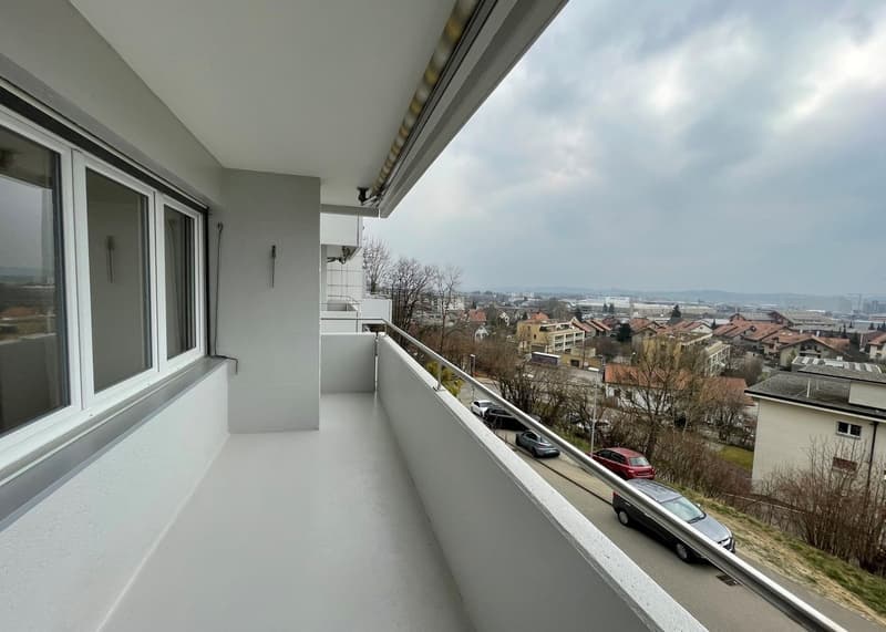 4.5-Room Apartment in Oensingen (8)