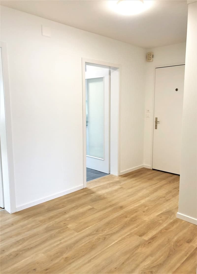 Appartement 3.0 pièces à Olten - près du centre-ville (1)