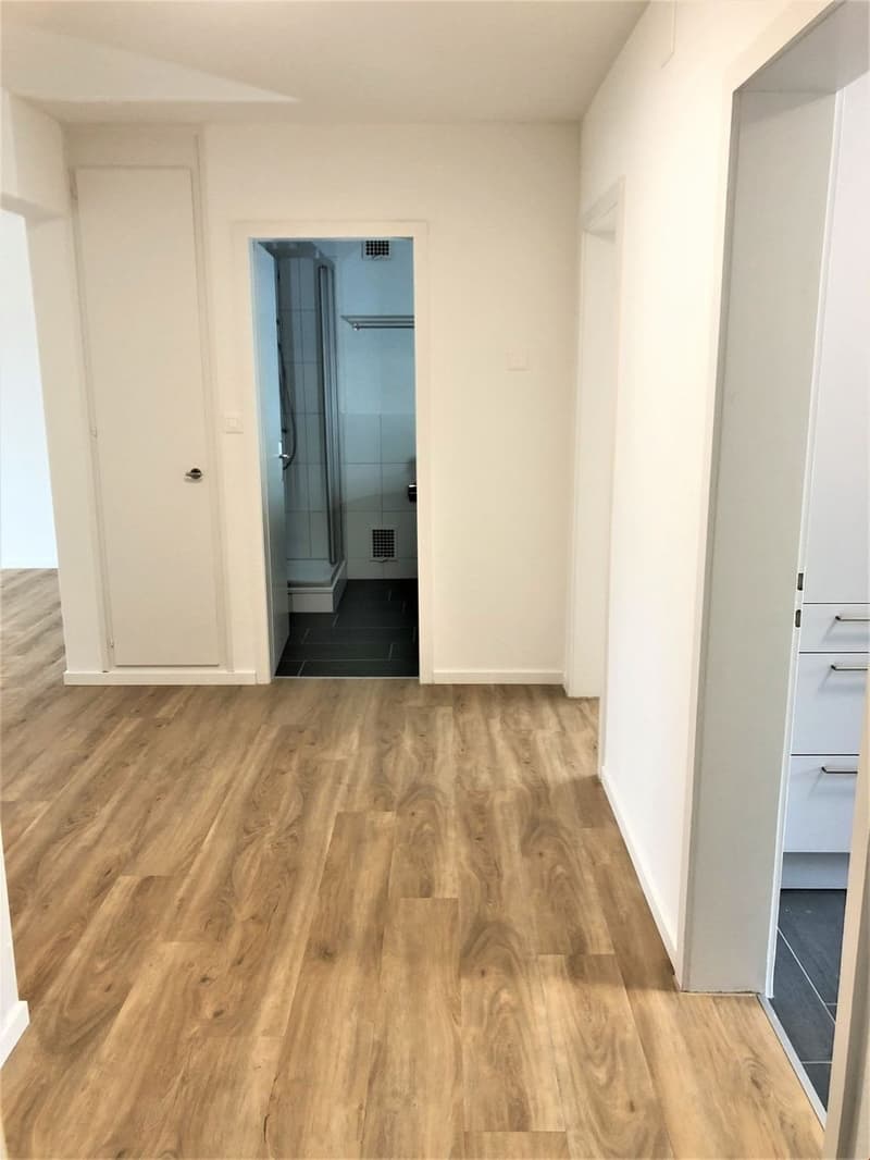 Appartement 3.0 pièces à Olten - près du centre-ville (8)