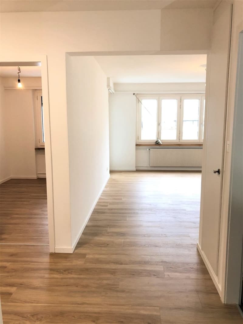 Appartement 3.0 pièces à Olten - près du centre-ville (5)
