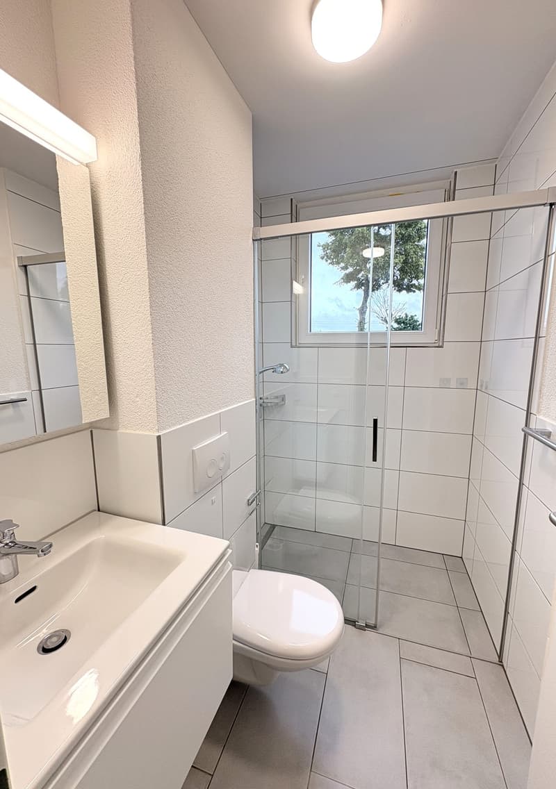 4 ½ Zimmer-Wohnung, 4702 Oensingen (5)