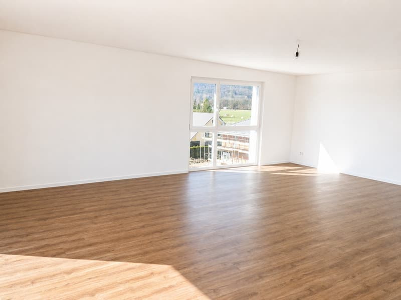Appartamento mansardato moderno 5.5 locali con grande terrazza a Niederbuchsiten (11)
