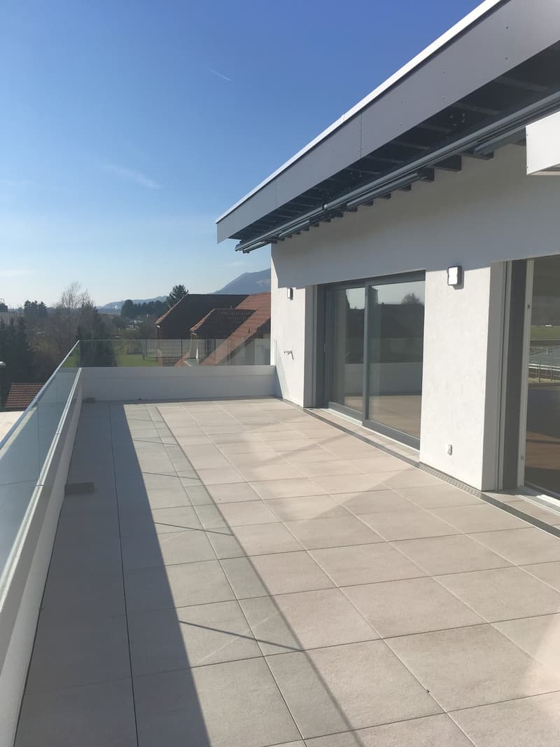 Appartamento mansardato moderno 5.5 locali con grande terrazza a Niederbuchsiten (4)