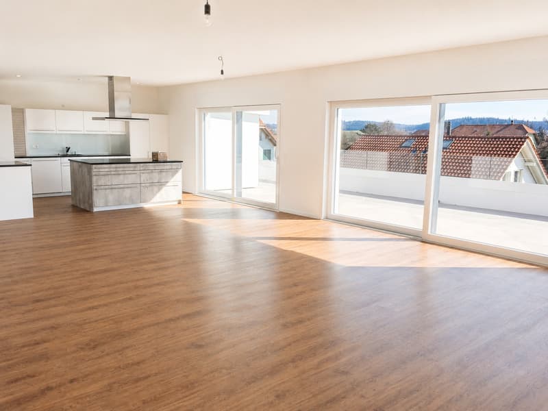 Appartamento mansardato moderno 5.5 locali con grande terrazza a Niederbuchsiten (1)
