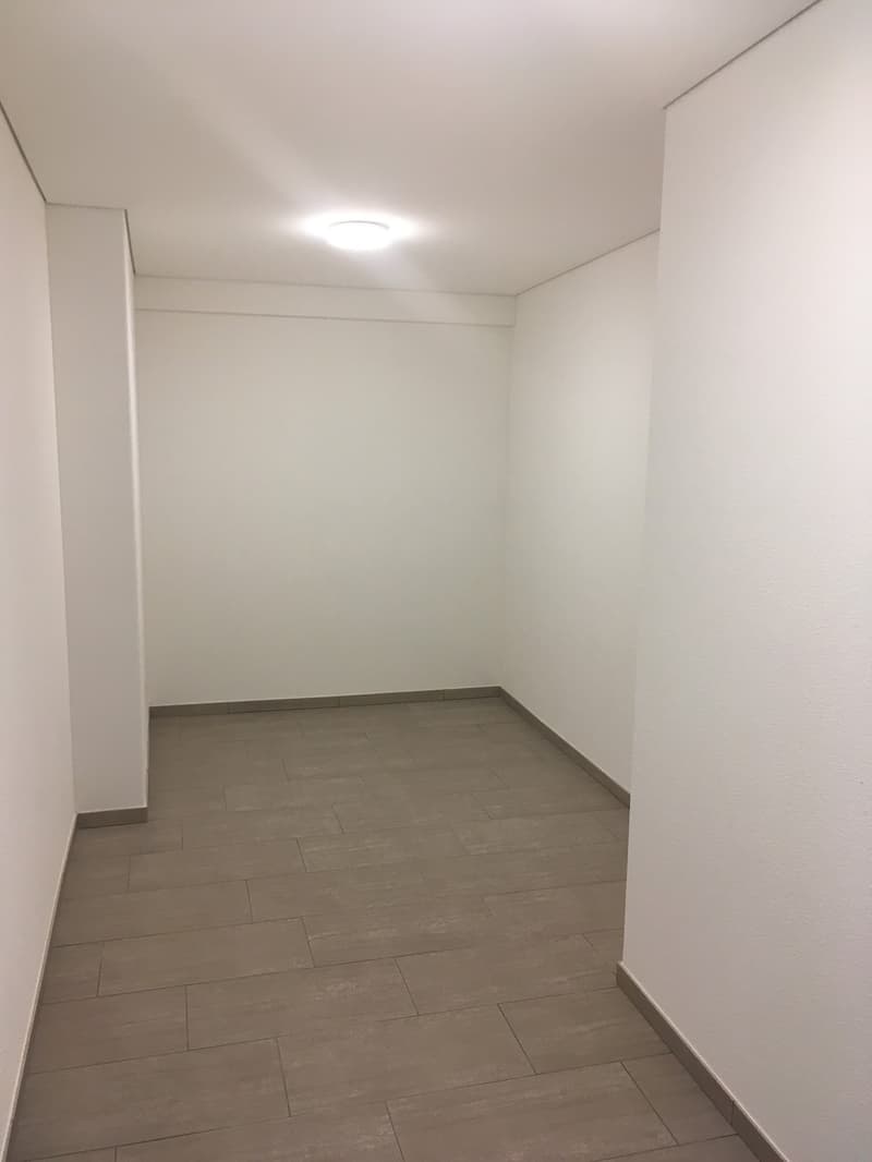 Appartamento mansardato moderno 5.5 locali con grande terrazza a Niederbuchsiten (12)