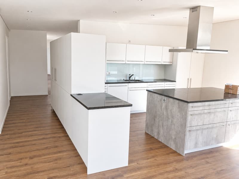 Appartamento mansardato moderno 5.5 locali con grande terrazza a Niederbuchsiten (2)