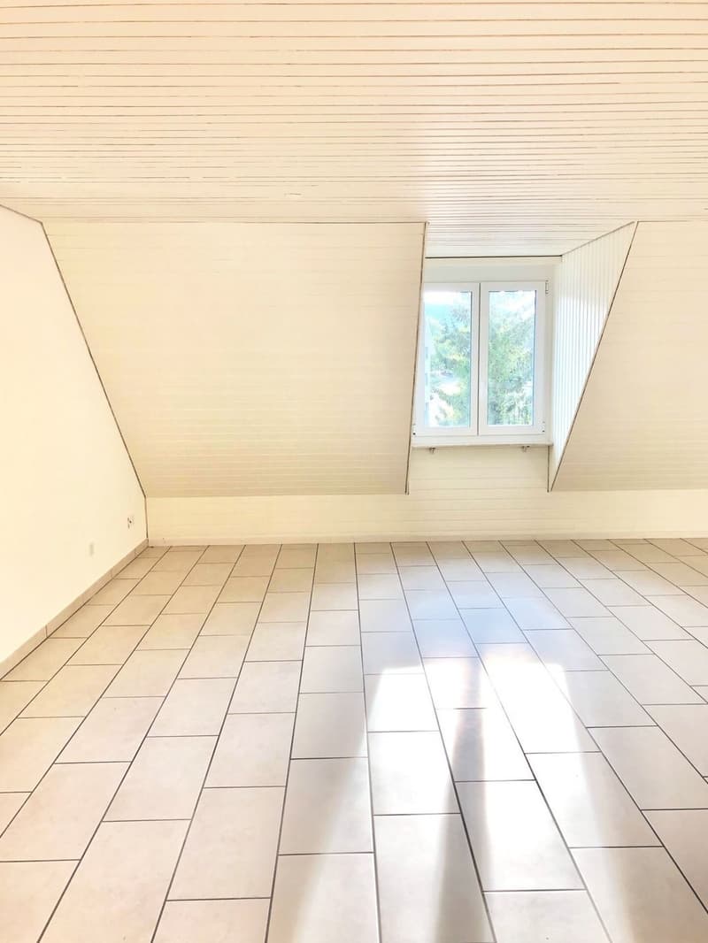 Appartement 4.5 pièces au cœur de Sissach (5)