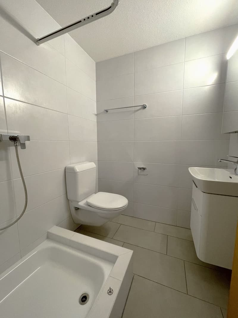 Appartement 4.5 pièces au cœur de Sissach (12)