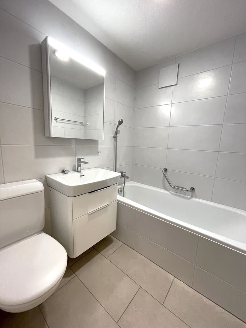 Appartement 4.5 pièces au cœur de Sissach (9)