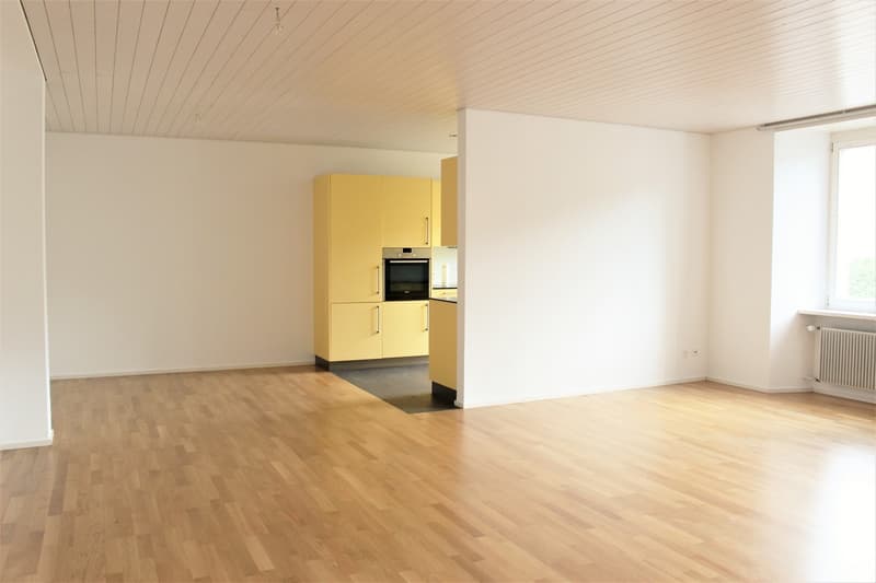 Appartamento luminoso 4.5 locali con grande terrazza a Läufelfingen (3)