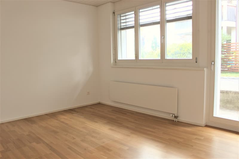 Appartamento luminoso 4.5 locali con grande terrazza a Läufelfingen (8)
