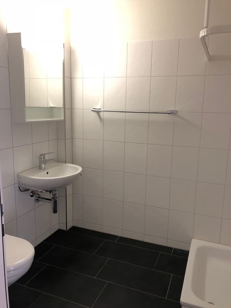Schöne 4.5-Zimmer-Wohnung mit Balkon und Aussicht in Kappel (10)