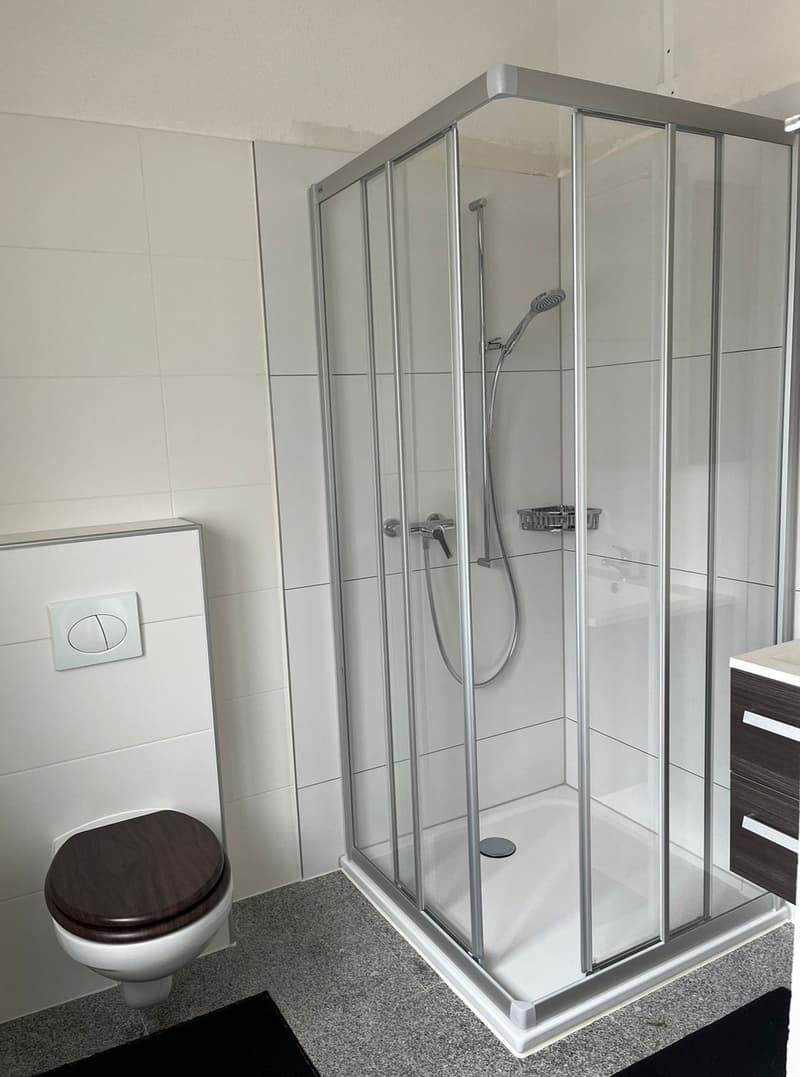 Beautiful, spacious 2-room apartment on the ground floor with a seating area (3)