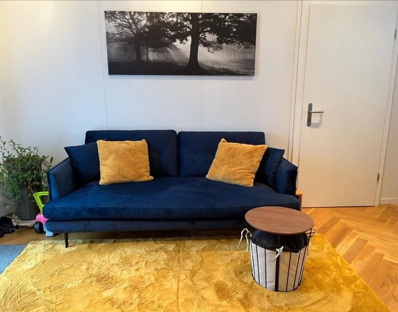 Beautiful, spacious 2-room apartment on the ground floor with a seating area (1)