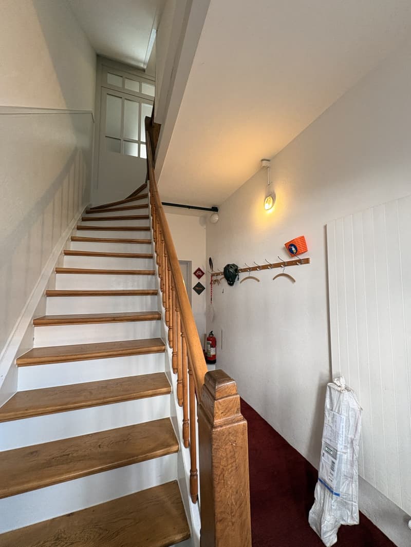 Spacious 4-room attic apartment in Olten (3)