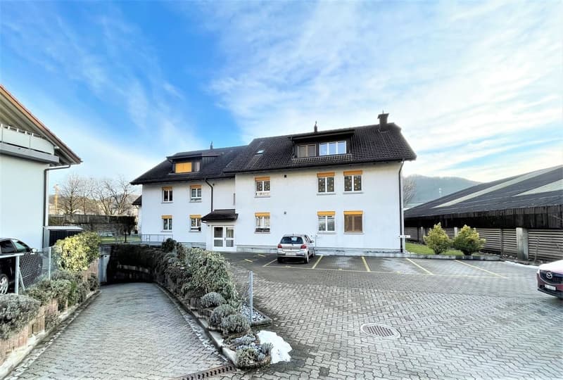 Originelle 3.5-Zimmer-Attikawohnung mit grossem Balkon und privatem Estrich (1)