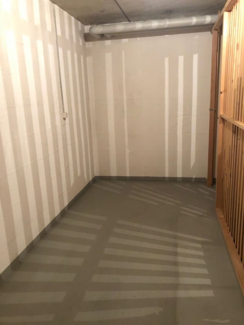 Originelle 3.5-Zimmer-Attikawohnung mit grossem Balkon und privatem Estrich (12)