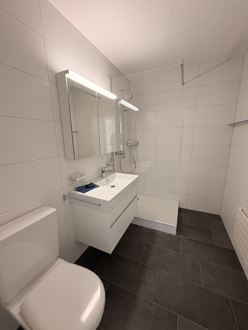 Grosszügige 3.5-Zimmer-Wohnung mit verglastem Balkon in Olten (5)