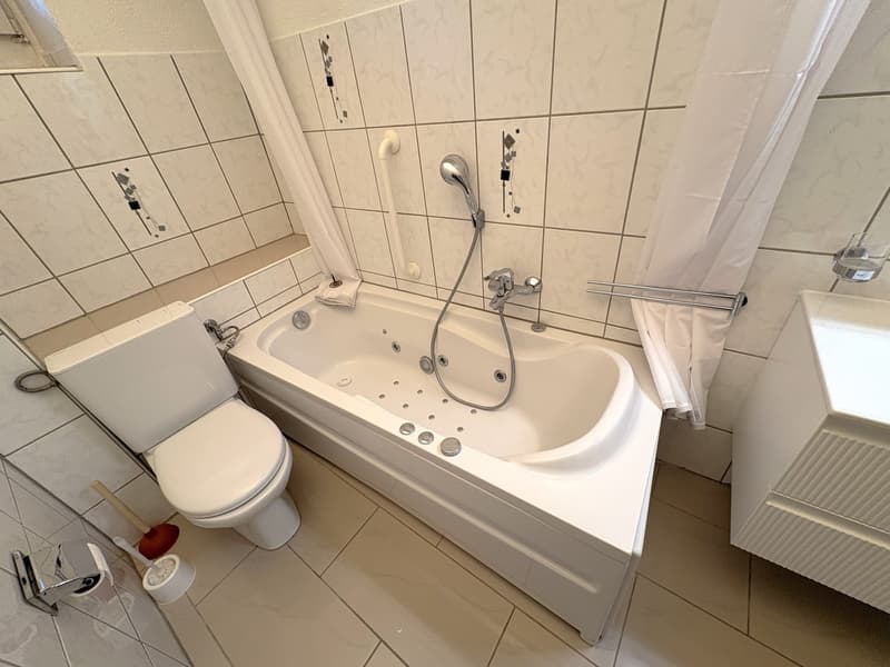 Renovierte 2.5-Zimmerwohnung in Olten modern & gemütlich (3)