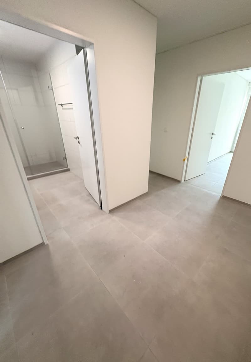 Erstvermietung 2026 Moderne 4.5-Zimmerwohnung mit hochwertigem Ausbaustandard (8)