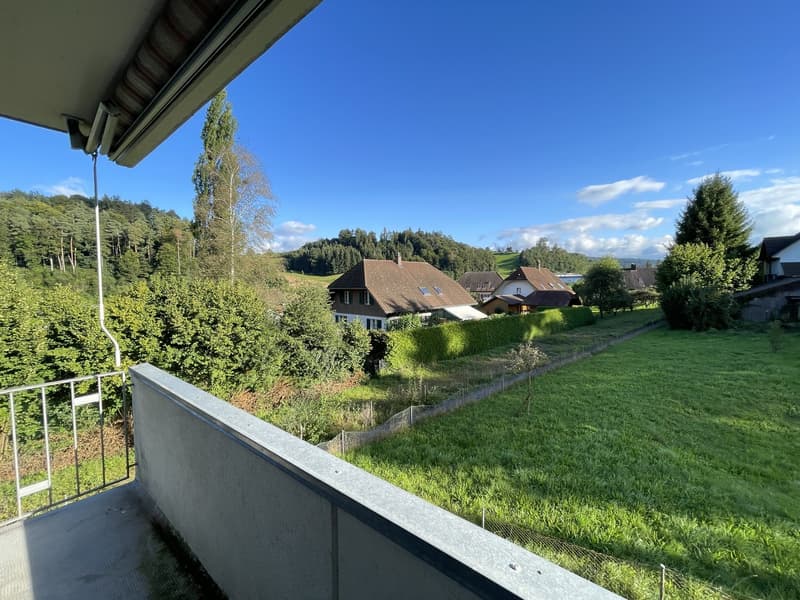 Wohnen im schönen Melchnau - 3.0-Zimmerwohnung mit Aussicht (12)