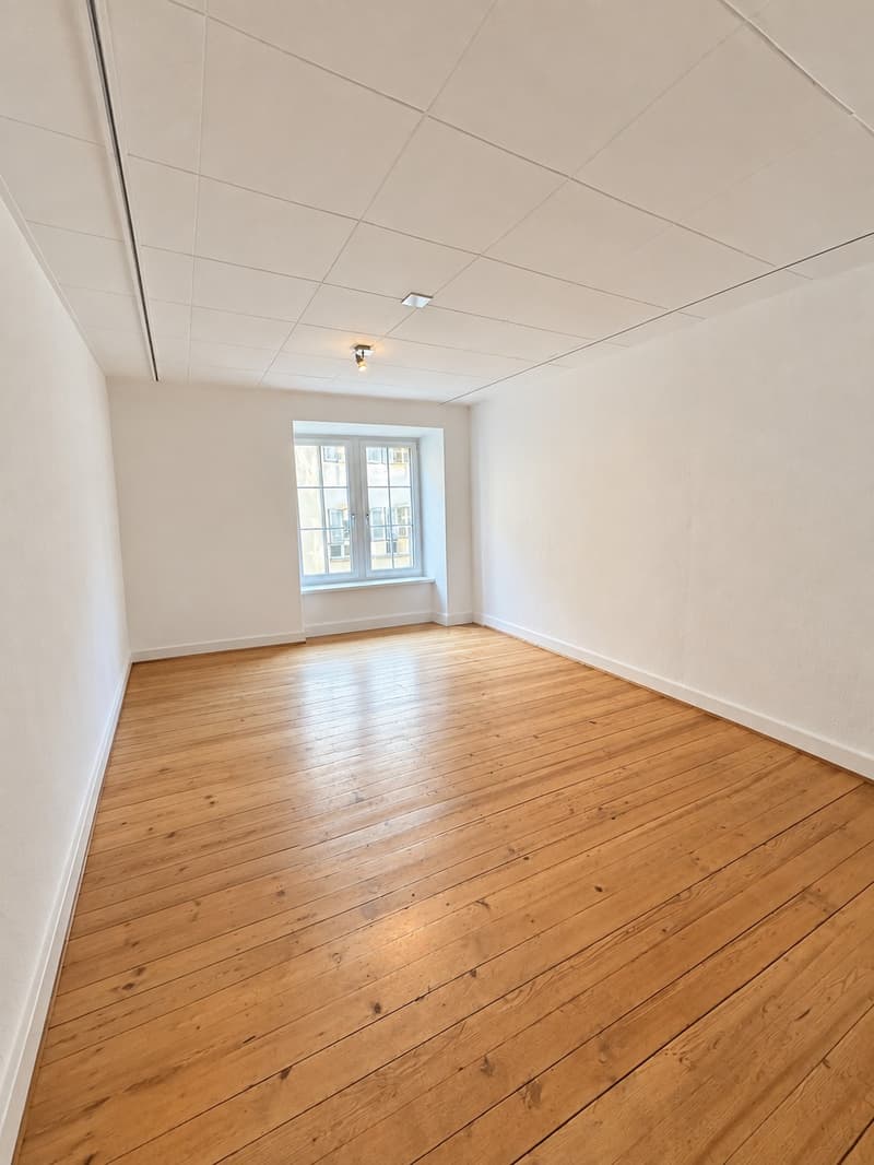 Charmante Gewerbefläche in der Oltner Altstadt (7)