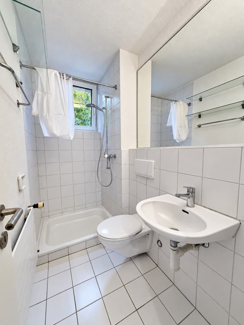 Charmante 2.0-Zimmer-Wohnung in Olten nur wenige Gehminuten vom Bahnhof SBB entfernt (7)