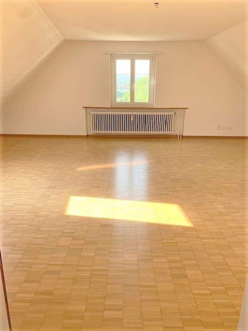 Charmante 2.0-Zimmerwohnung in der Altstadt Olten (7)