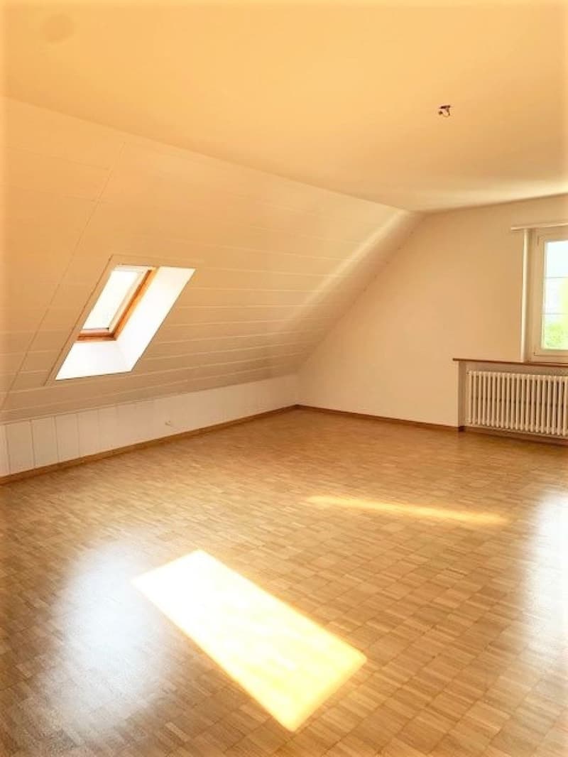 Charmante 2.0-Zimmerwohnung in der Altstadt Olten (6)