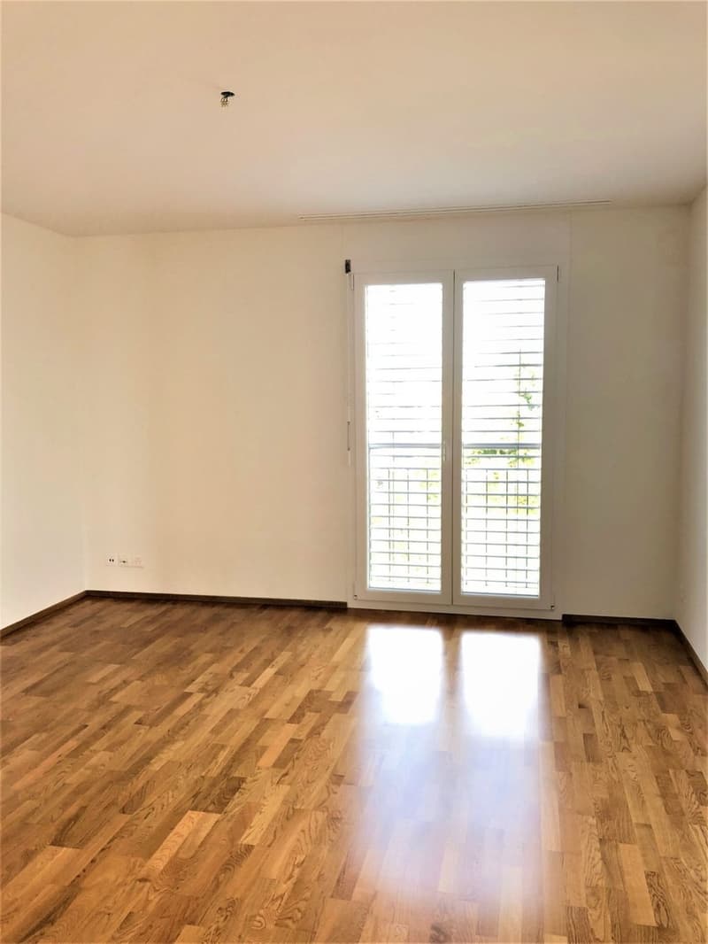 Luxuriöse 5.5 Zimmerattikawohnung mit grosser Terrasse (6)