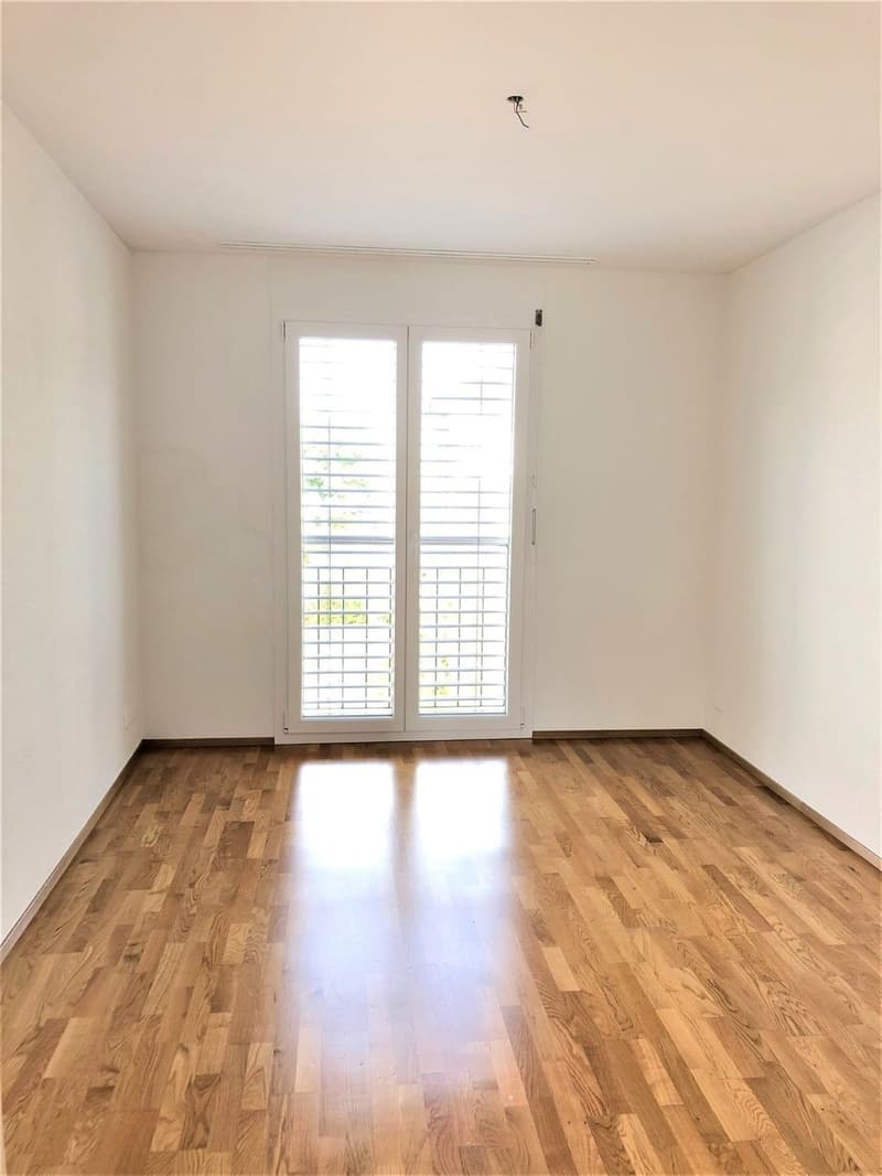 Luxuriöse 5.5 Zimmerattikawohnung mit grosser Terrasse (7)