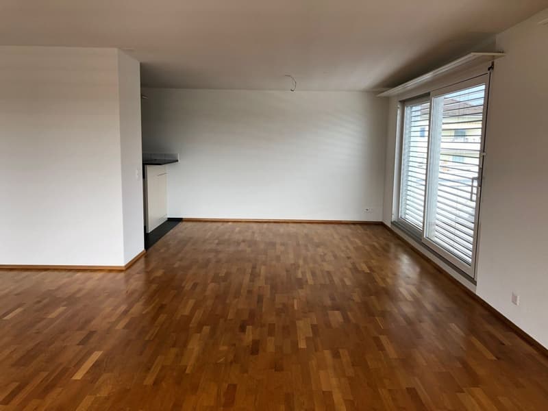 Luxuriöse 5.5 Zimmerattikawohnung mit grosser Terrasse (4)