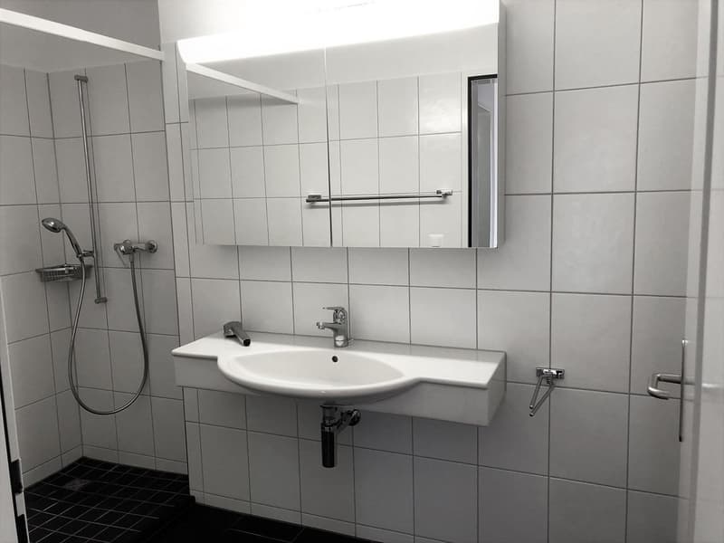 Luxuriöse 5.5 Zimmerattikawohnung mit grosser Terrasse (10)