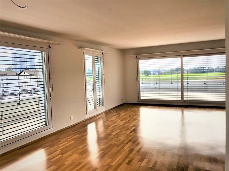 Luxuriöse 5.5 Zimmerattikawohnung mit grosser Terrasse (5)