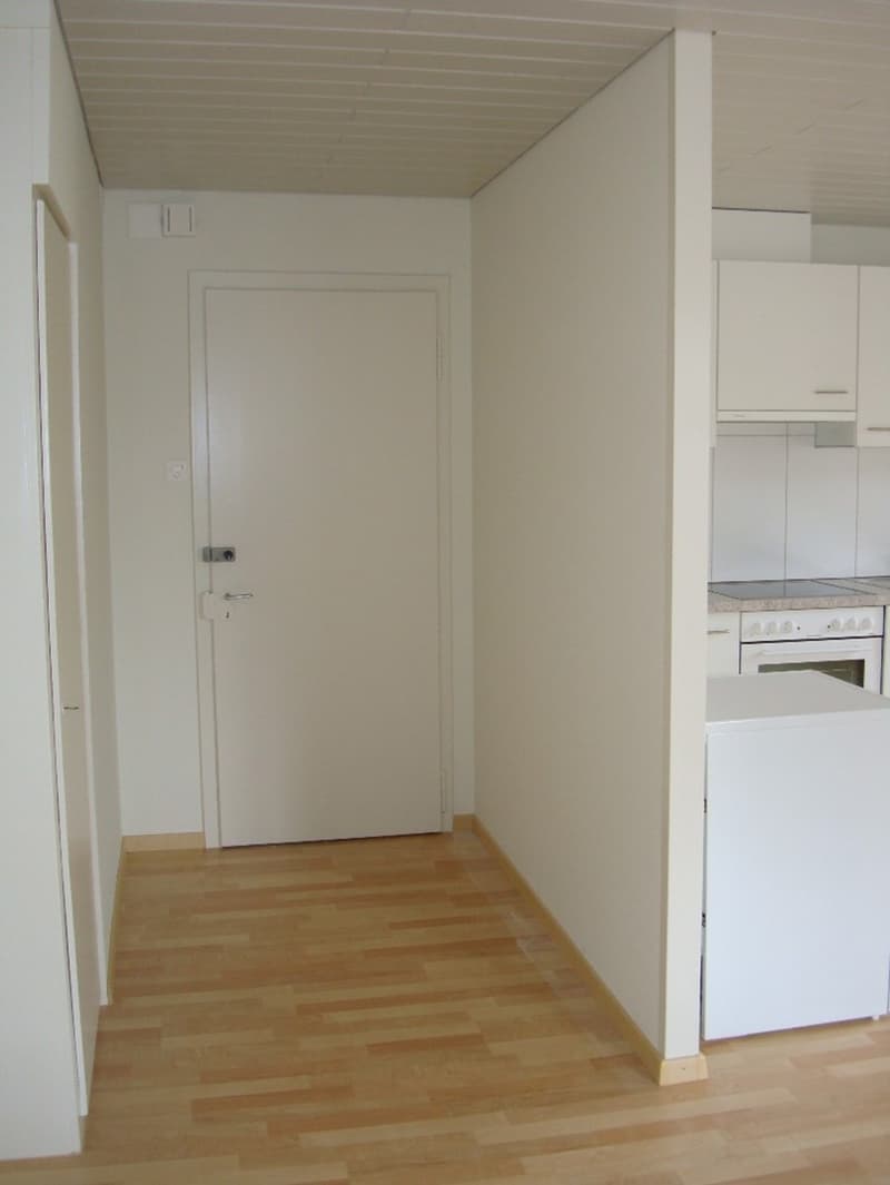 Rental Yielding Residential and Commercial Building in Thun - Centrally Located with Airbnb Potential (9)