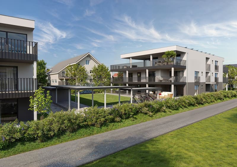 NEUBAU - Wir bauen Ihre individuelle Traumwohnung (1)