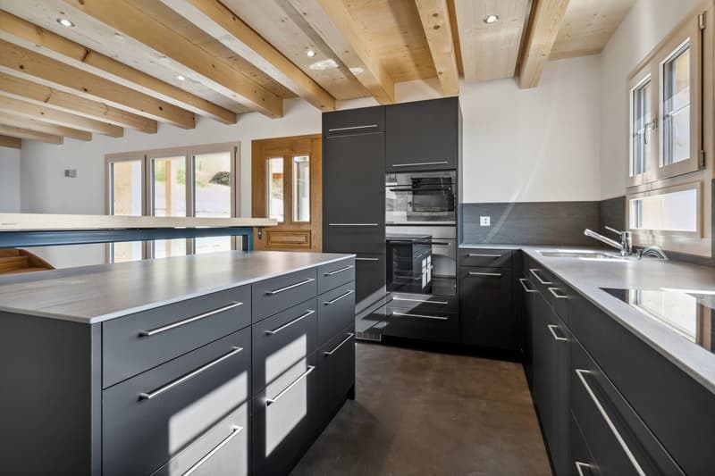 modern kitchen, dishwasher, countertop, ovens, windows, sink, faucet