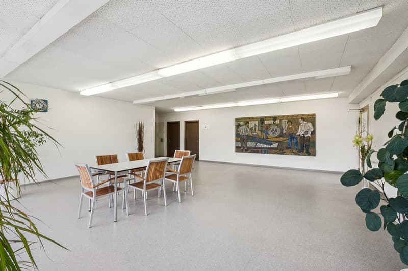 empty room, white walls, white ceiling, white table and chairs, painting on the wall, plants