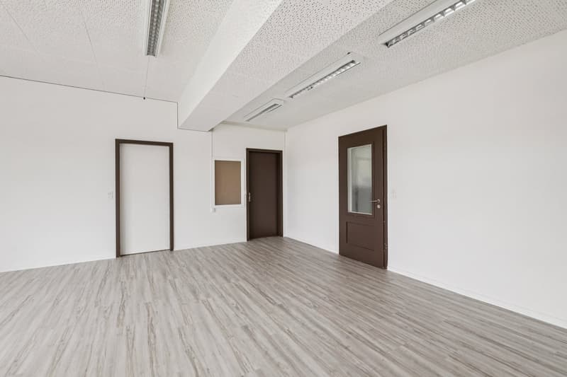 empty room, white walls, wooden floor, three doors, ceiling lights