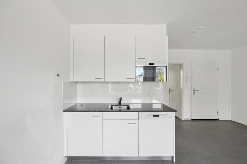modern kitchen with white cabinets, black granite countertop, stainless steel sink, dishwasher, and a microwave