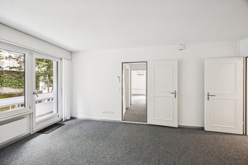 empty room, white walls, gray carpet, large windows, balcony