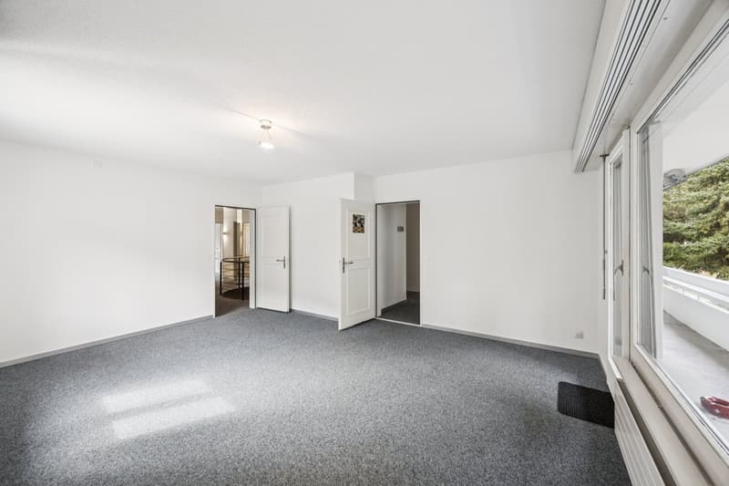 empty room, white walls, gray carpet, large windows, balcony