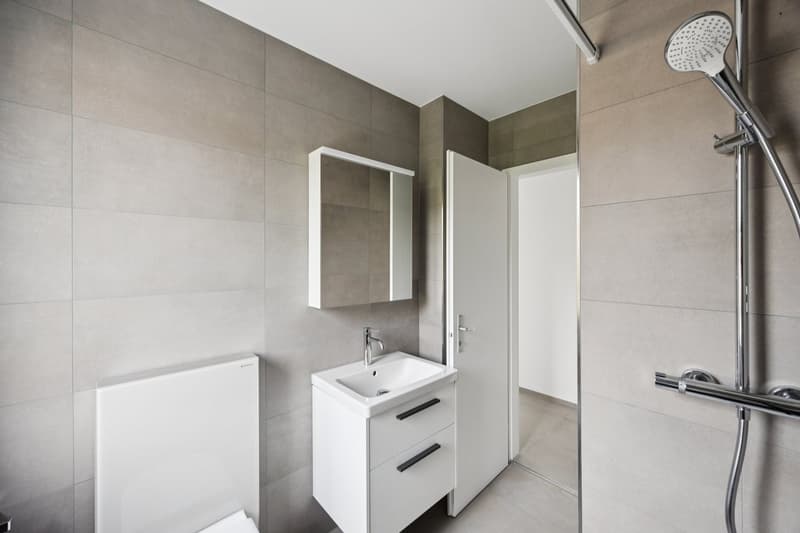 Premier location après rénovation - Kirchenfeld (3)