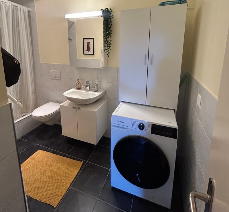 Modern single apartment in the old town (4)