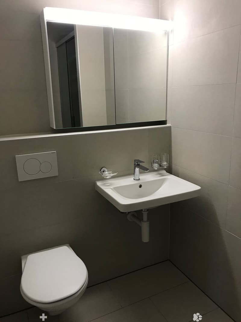 Wohnen im Zentrum von Biel (5)