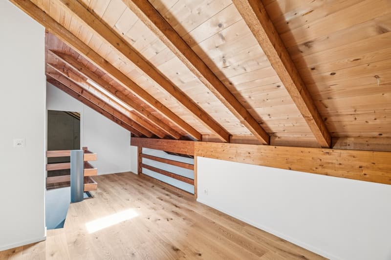 Adlatus AG | Casa unifamiliare ristrutturata friendly per le famiglie (10)
