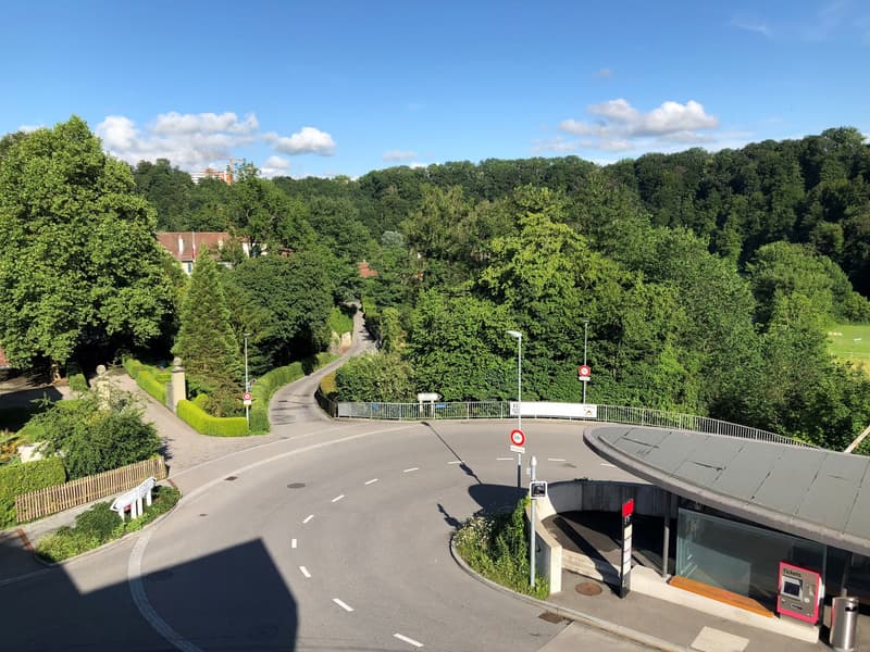 Vivere sull'Aare - Bremgarten (13)