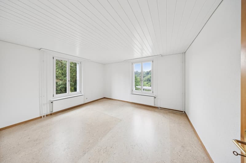 Vivere sull'Aare - Bremgarten (7)