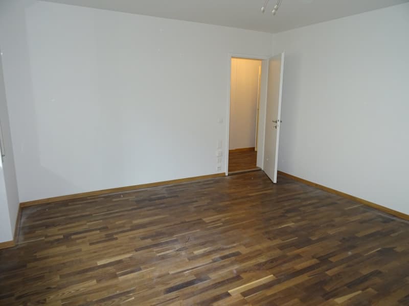 Schmuckstück im Trendquartier Breitsch (8)