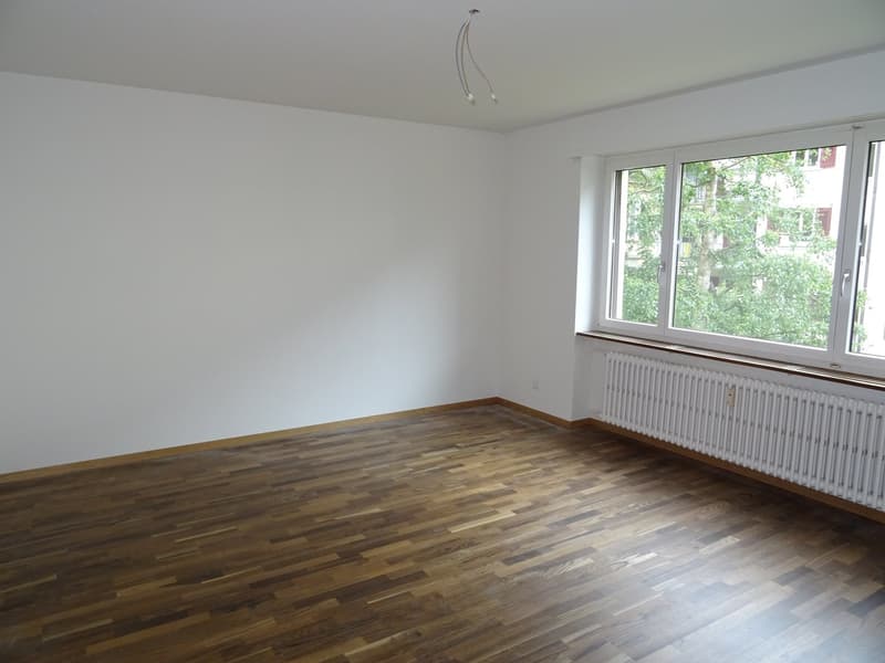 Schmuckstück im Trendquartier Breitsch (6)
